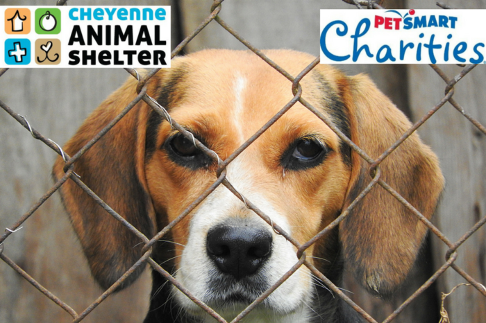 Cheyenne Animal Shelter Receives $25,000 Grant