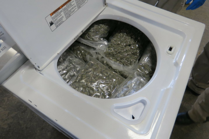 WHP seizes 123 pounds of Marijuana
