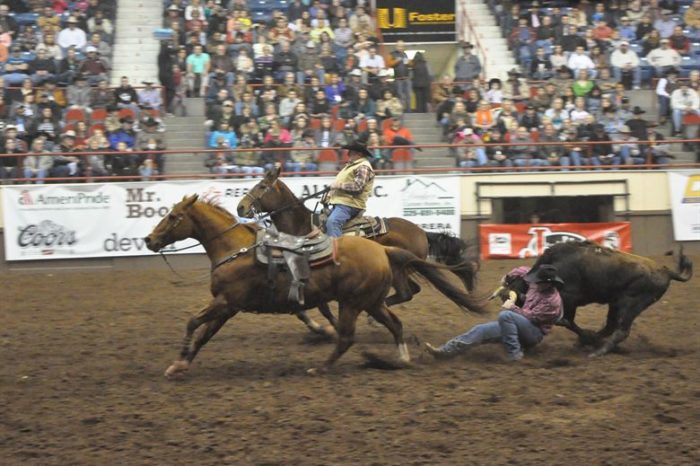 Wyoming Day to be Celebrated at National Western Stock Show