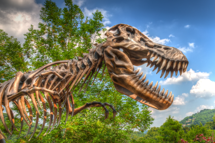 Wyoming State Museum to host second annual Dino Day