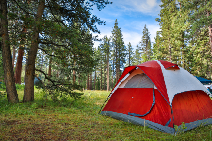 Camping Available Throughout State for Those Displaced by Yellowstone Closure