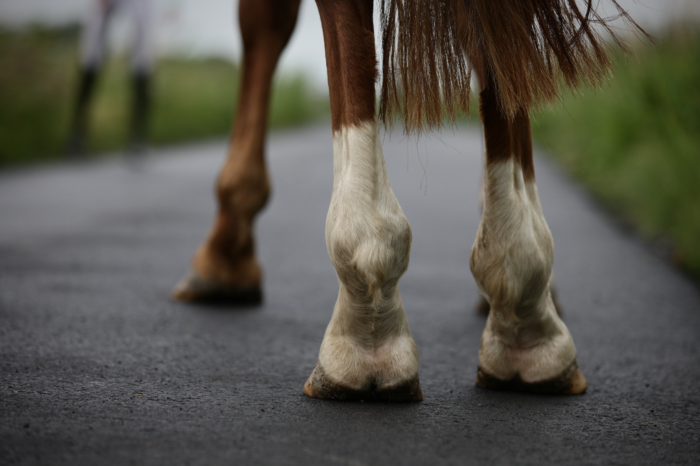 Sunday Road Closures - CFD Bucking Horse Roundup