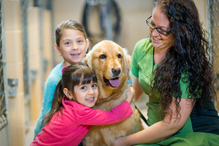 Cheyenne Animal Shelter Successful In July Thanks to Community!