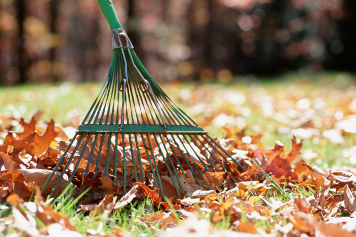 City’s Yard Waste Program to Conclude  for Season in November