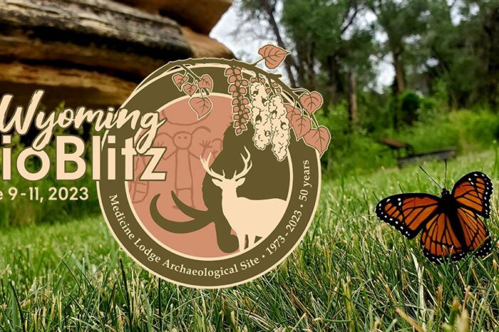 Wyoming BioBlitz 2023 – Medicine Lodge State Archaeological Site