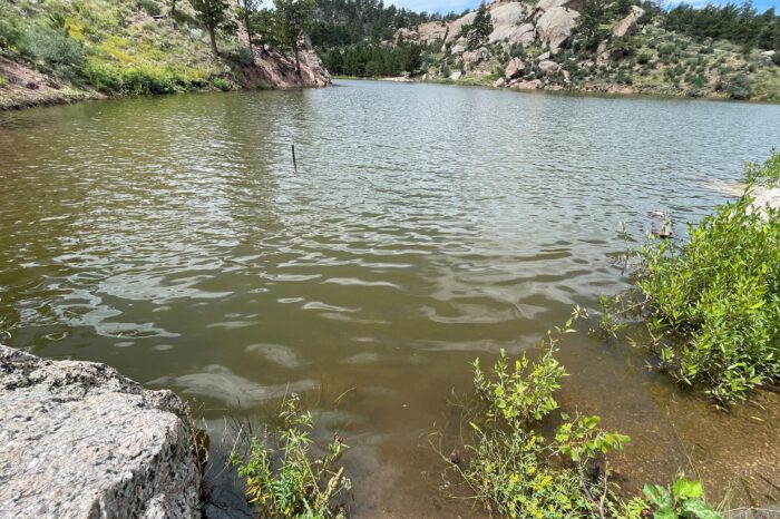 Blue-green algae detected near Granite Springs Reservoir