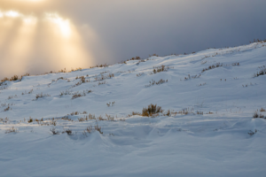 Snow in Wyoming.