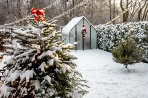 Backyard covered in snow.