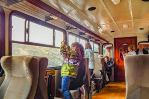 People looking out the window on a passenger train.