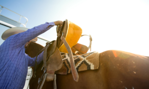 Man saddling a horse.