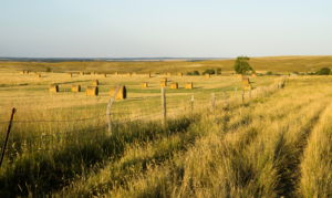 Land in Wyoming.