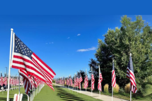 Flags for Heroes.