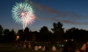 People watching fireworks over a park.