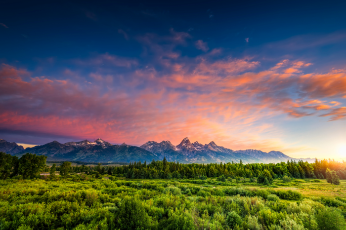 Wyoming is Sunny-Side Up According to a Breakfast Company Survey