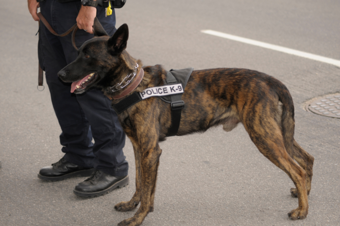 Cheyenne Police K9 Team Wins Two Major Awards During Annual Certification