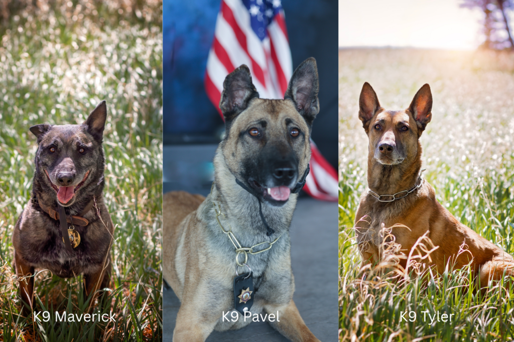 Cheyenne Police Department Celebrates Three Retiring K-9 Teams
