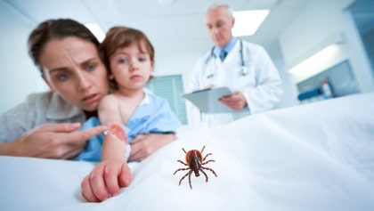 Tick bite ER visits are extra high. Here's how to protect yourself.Health and Wellness