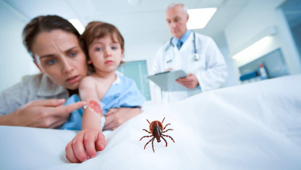 Tick bite ER visits are extra high. Here's how to protect yourself.Health and Wellness