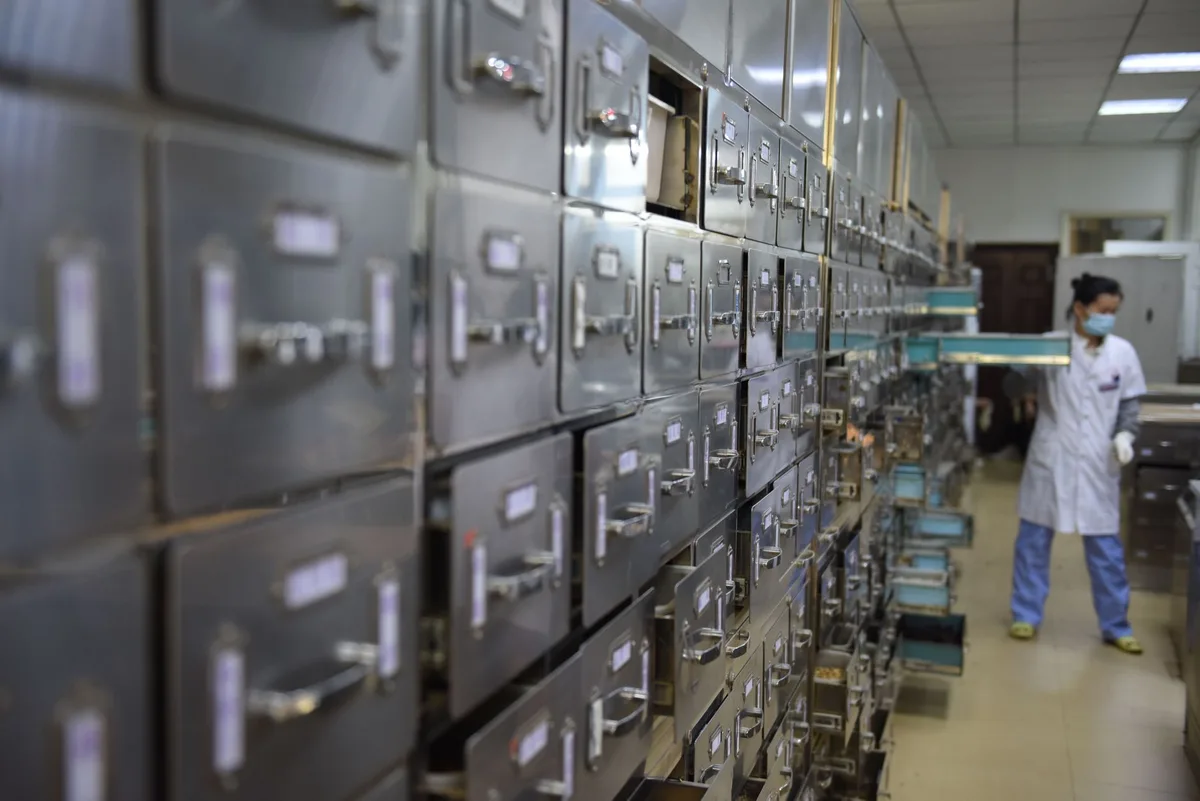 Laboratory equipment and storage systems used in tissue banking and medical processing facilities.