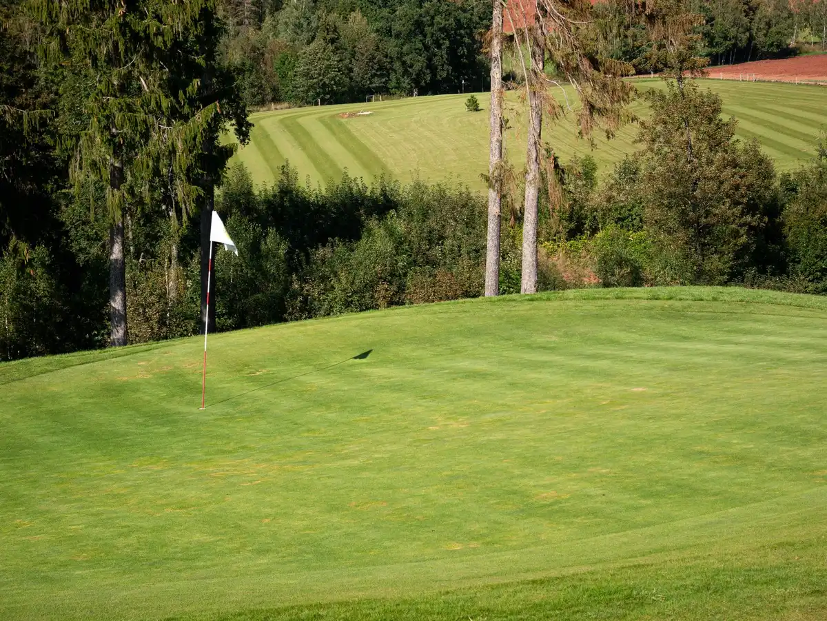 Golfer's hand on putter with ball near the cup on a manicured green