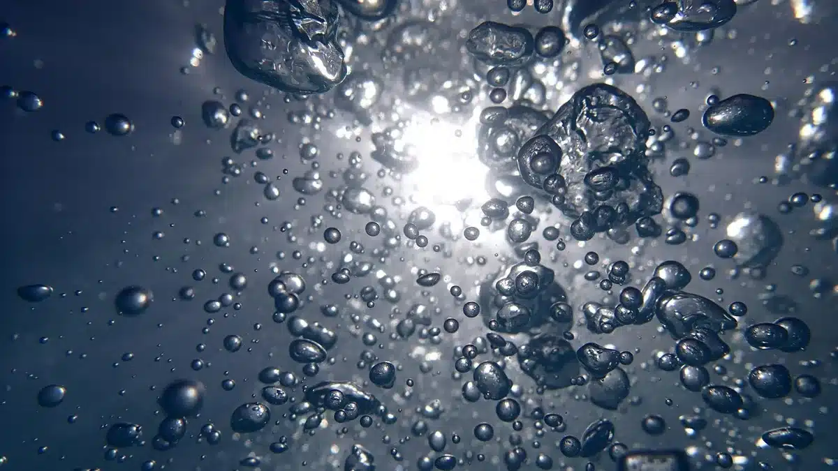 Murky, warm water with algae bloom showing signs of low oxygen conditions