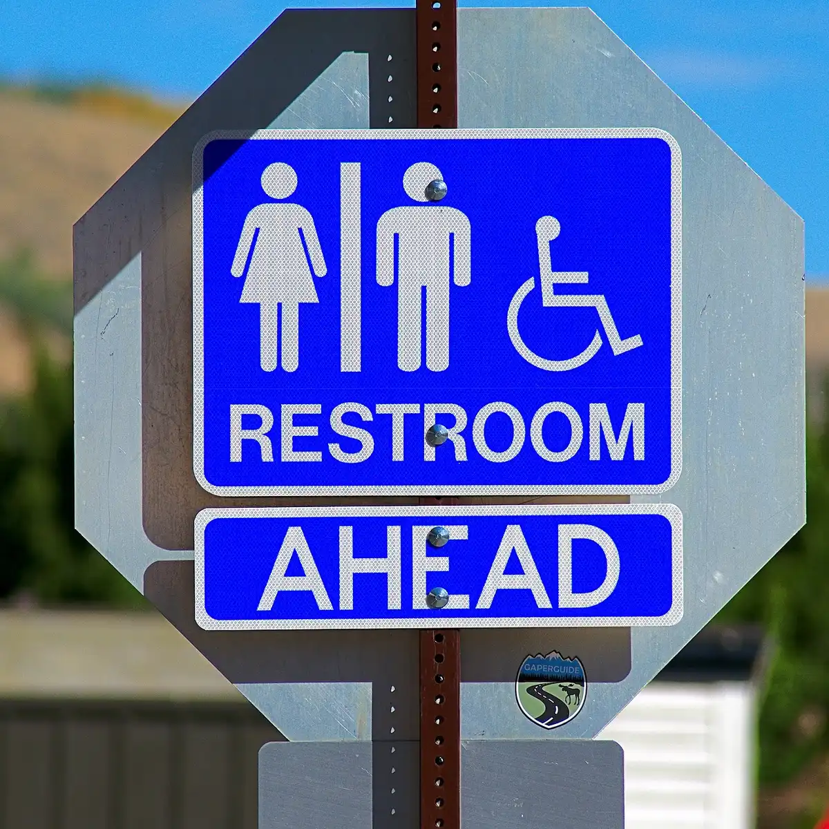 Wall clock and bathroom door suggesting regular toilet schedule