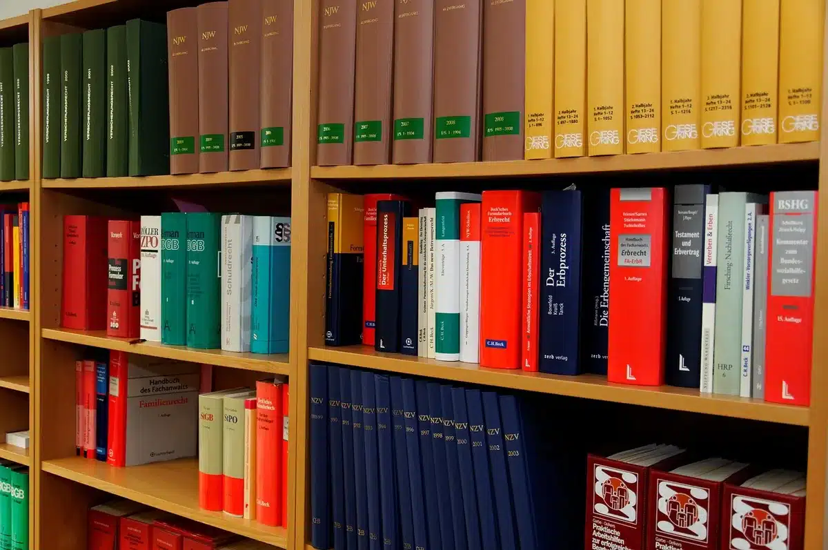 Lawyer reviewing court documents about protective orders