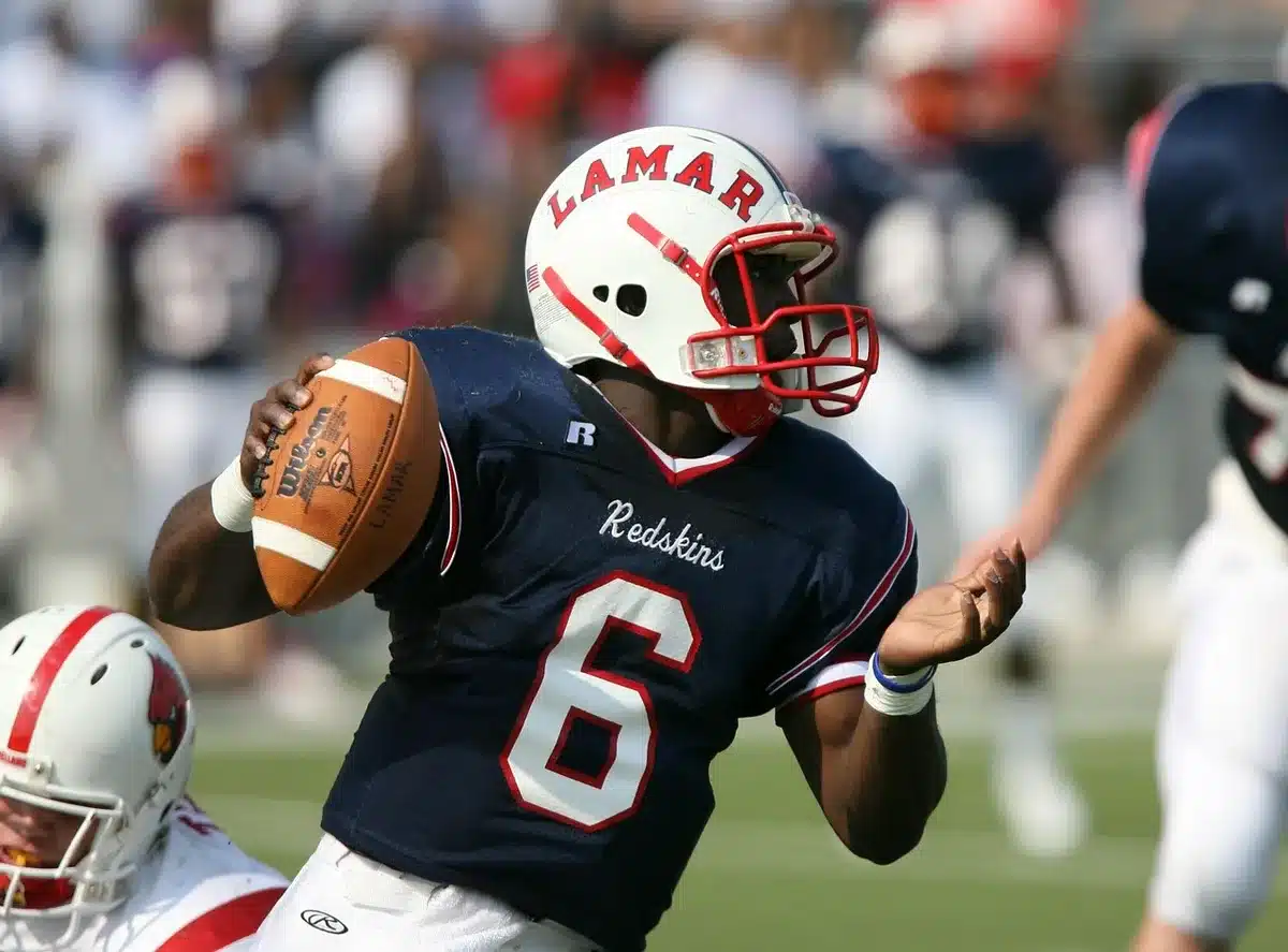Quarterback dropping back to pass with coaches on the sideline