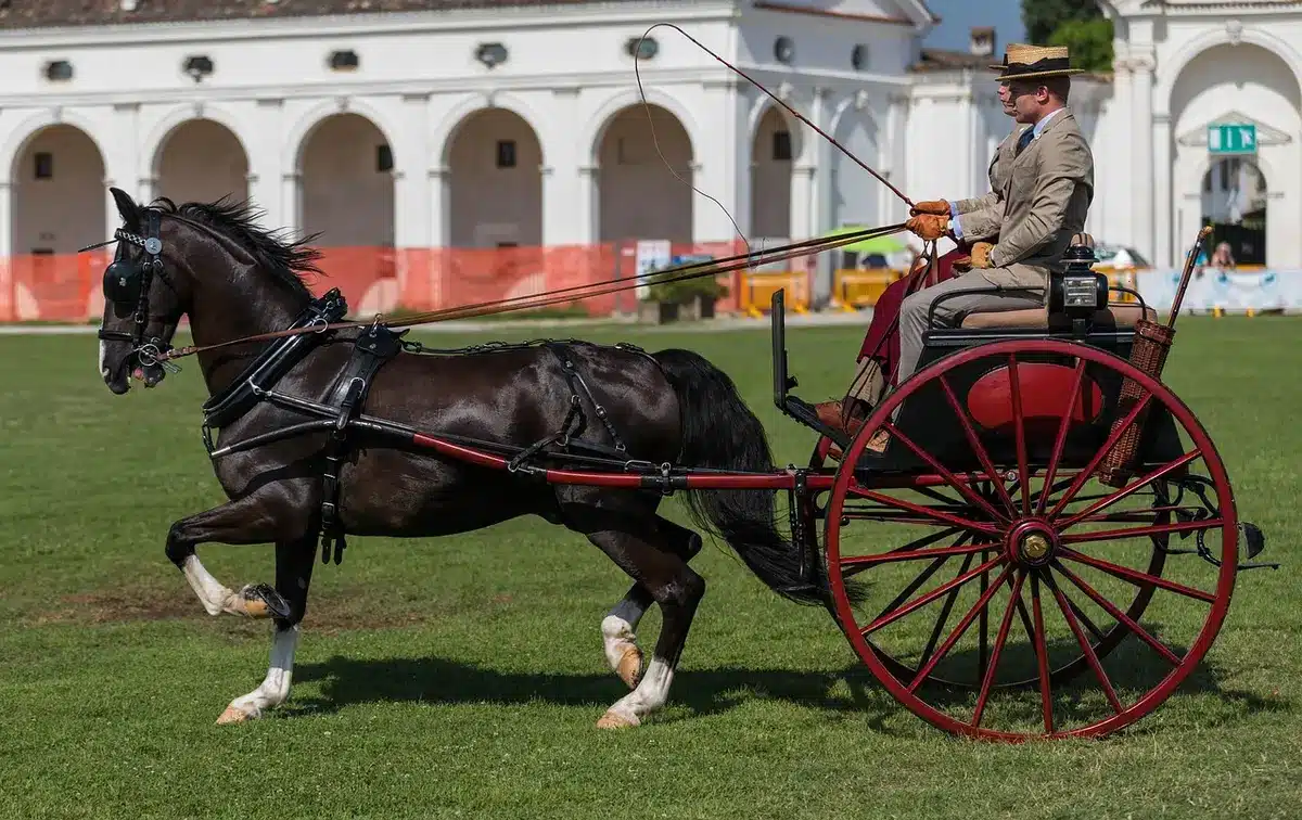 Riders vaulting between horses at full gallop during a relay race