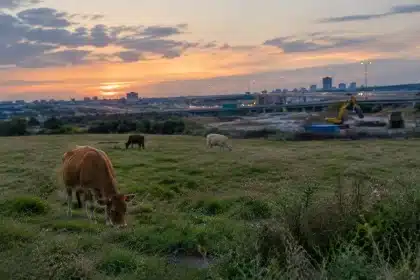 PRCA, Orchard Hills face final city approval test: committee vote due today