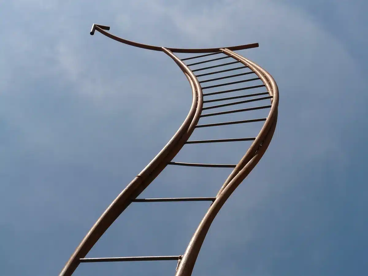 Silhouette of a wrestler climbing a ladder in the ring